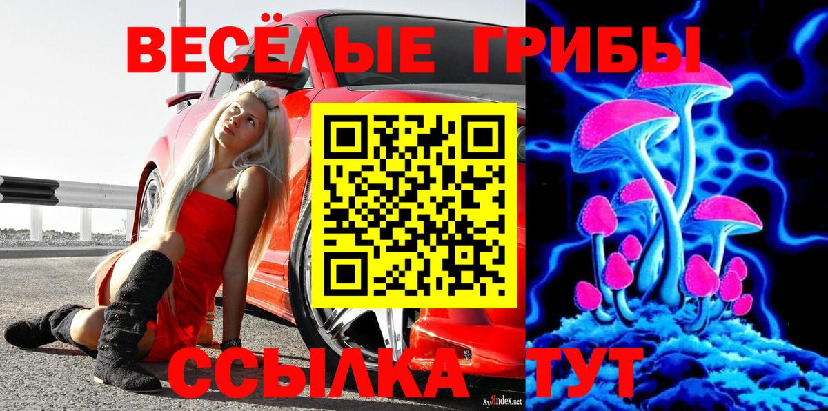 Галлюциногенные грибы Psilocybe Химки